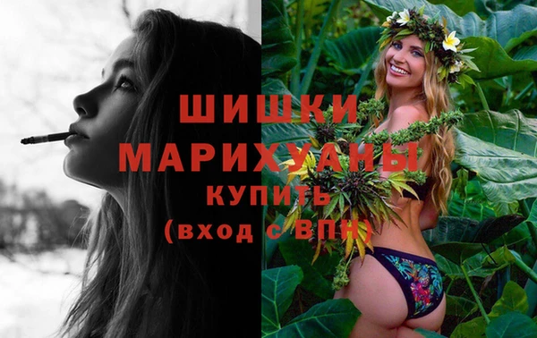 2c-b Богородицк