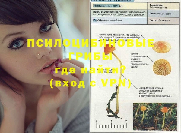 прущая мука Богданович