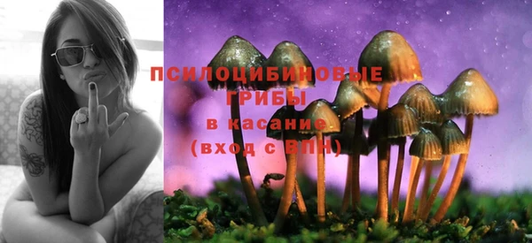 прущая мука Богданович