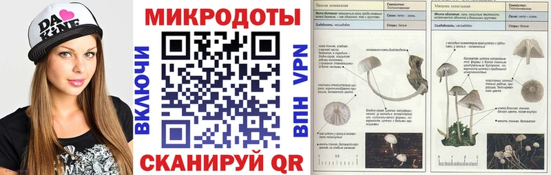 купить закладку  Дзержинск  дарк нет наркотические препараты  Псилоцибиновые грибы MAGIC MUSHROOMS 